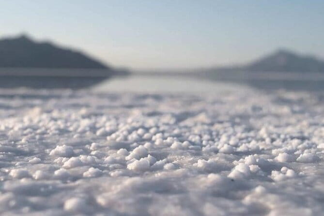 The Bonneville Salt Flats Tour - The Salt Flats Experience: A Close Look