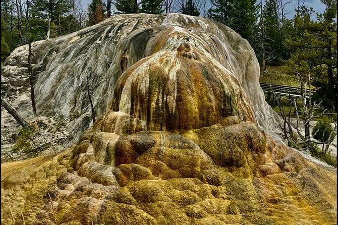 The Grand Yellowstone 3 day private experience from Cody Wyoming - Who Will Love This Tour?