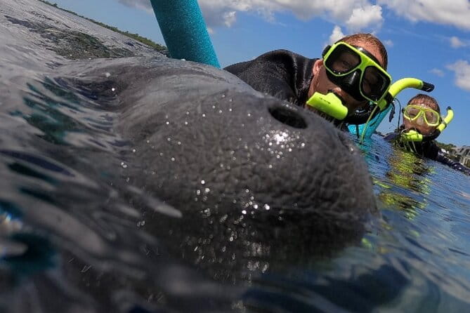 VIP Private Boat Manatee Snorkel Tour with In-Water Guide and Photograper - An In-Depth Look at the Crystal River Manatee Snorkel Tour
