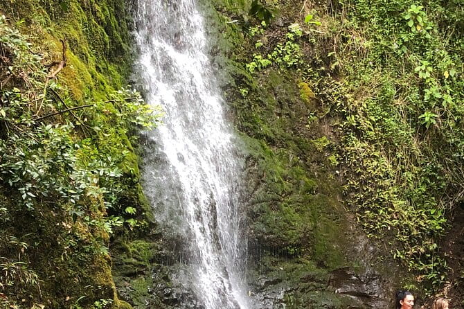 Waterfall Hike , Sightseeing & East Side Beach Day - A Guide to the Waterfall Hike, Sightseeing & East Side Beach Day Tour