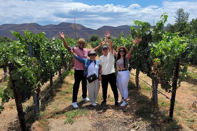 Weekday Wine Tour Special +Local Pick-up in Temecula Wine Country - Key Points