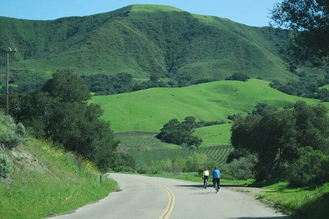 Wine Country Half-Day Bike Tour from Solvang - w/o Lunch - A Closer Look at the Wine Country Half-Day Bike Tour from Solvang