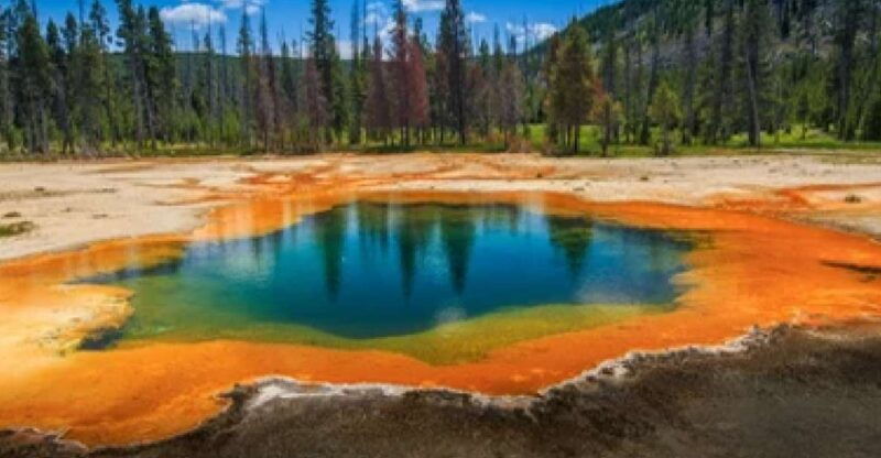 Yellowstone & Grand Tetons: 4-Day/3-Night Wildlife Adventure - A Deep Dive into the Experience: What You Can Expect