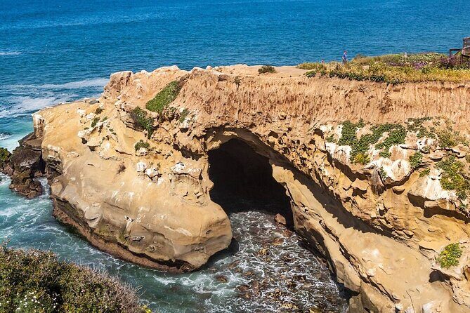 1.5 Hour Walking Tour from La Jolla in San Diego - Who Will Love This Tour?