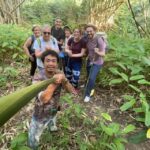 1 Day trekking : Chiang Rai popular activity,Fun in Nature. - Transport, Timing, and Cost: What You Need to Know