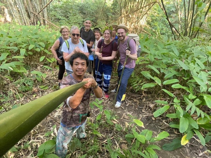 1 Day trekking : Chiang Rai popular activity,Fun in Nature. - Transport, Timing, and Cost: What You Need to Know
