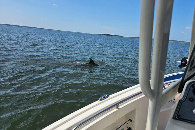 1 Hour Private Dolphin and Nature Tour - Analyzing Value: Price vs. Experience