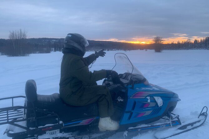 1 Hour Snowmobile Tour in Fairbanks Alaska - Who Is This Snowmobile Tour Best For?