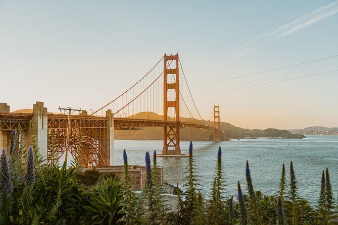 10 Hours Private City Tour in San Francisco - Chartered Tour - What to Expect from Your Day