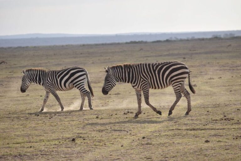 2 Days 1 Night Taita Hills - What Youll Experience