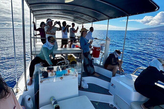 2 Hour Afternoon Lahaina Whale Watch - Why This Tour Offers Great Value