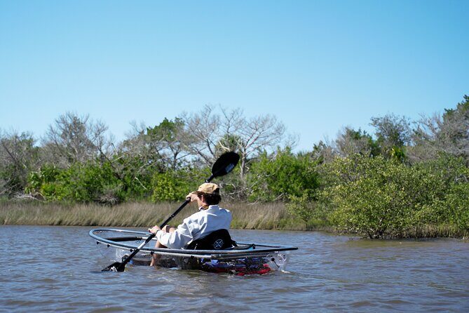 2-Hour Glass Bottom Guided Eco Tour in Flagler County-Small-group - The itinerary: what to expect