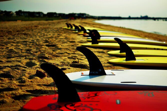 2-Hour Paddleboard Rental in Rehoboth Bay - Who Will Love This Experience?