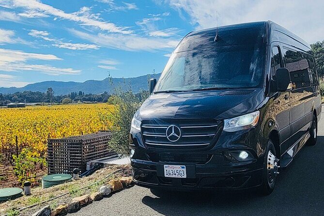 2 Hour Sightseeing Small Group Guided Tour in San Francisco - Authentic Traveler Insights