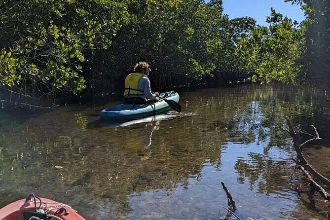 2 Hour Tandem Kayak Tour (Price for 2 People) - Who Will Love This Tour?