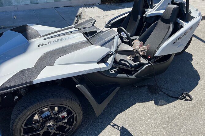 2 Hours fun in a Automatic Slingshot - Final Thoughts