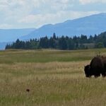 2-Person Grand Teton All-Day Private Tour - Comfort, Convenience, and Value