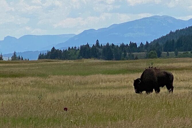 2-Person Grand Teton All-Day Private Tour - Comfort, Convenience, and Value