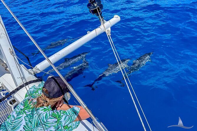 2hr Luxury Private Sailing Catamaran for 7-12 People - Analyzing the Value