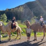 3 Hour Camel Trek into the Forest and Ranch in California - Detailed Breakdown of the Itinerary