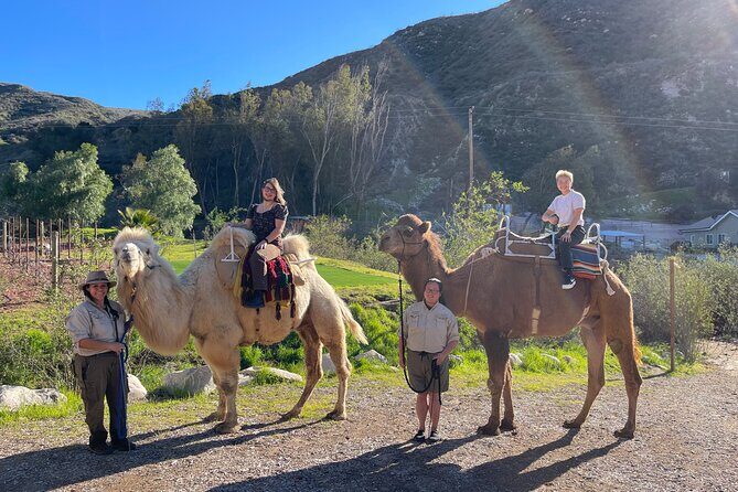 3 Hour Camel Trek into the Forest and Ranch in California - Detailed Breakdown of the Itinerary