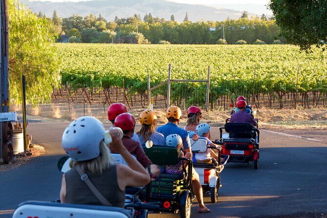3 Hour Electric Trike Sunset Tour at Sonoma - The Sum Up