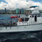 3-Hour Honolulu Bottom Fishing Adventure - Detailed Breakdown of the Experience