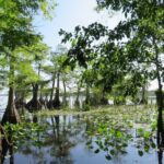 3 Hour Small Group Lake Norris Kayak Activity - Who Would Love This Tour?