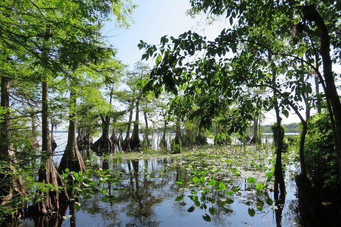 3 Hour Small Group Lake Norris Kayak Activity - Who Would Love This Tour?