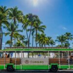 4 Day Pass LeaLea Trolley and Waikiki Trolley Pink Line - Who is this tour best for?