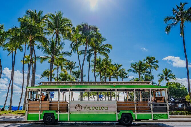 4 Day Pass LeaLea Trolley and Waikiki Trolley Pink Line - Who is this tour best for?