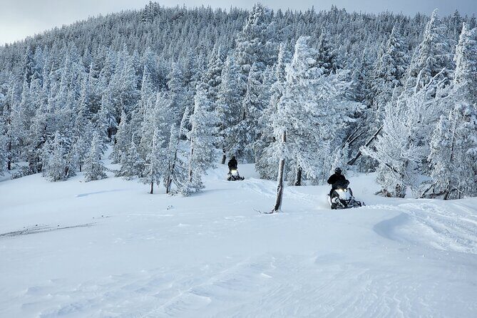 4-Hour Guided Scenic National Monument Snowmobile Tour in Bend - Who Will Love This Tour?