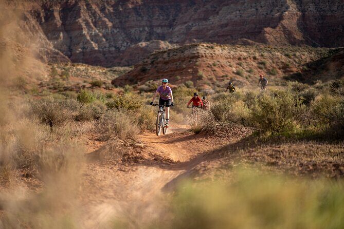4 Hour Mountain Bike Rental Near Zion - Who Should Consider This Tour?
