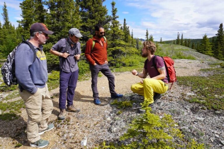 4 Hour Off-Trail Wilderness Wonders Tour in Denali - Analyzing the Value