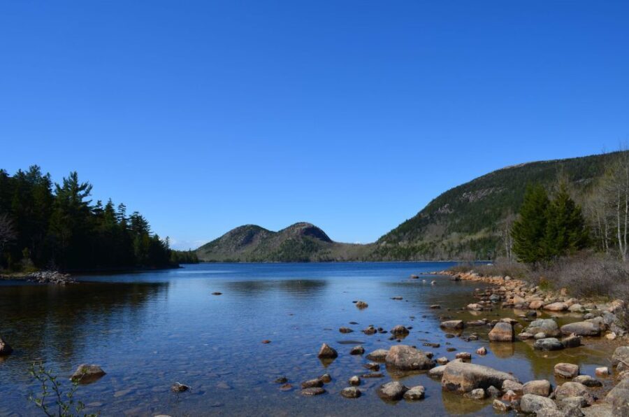 4 Hour Private Tour: Acadia, Fjord, Gardens & Mansions - Authentic Experiences & Reviews