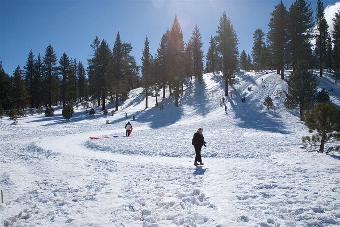 4 hour Vegas Winter Adventure: Mt. Charleston Snow Day - Transport and Timing
