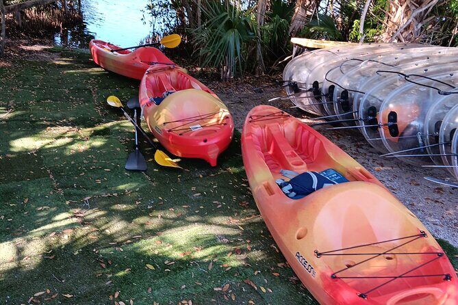 4 Hours Fishing Kayak Rentals - The Fishing Experience