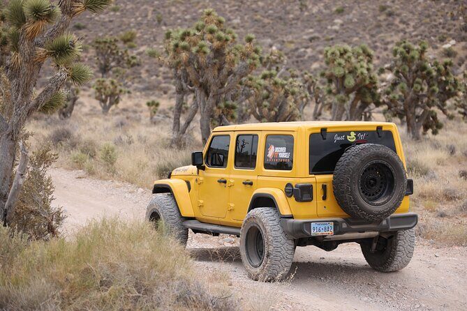 5 Hour Las Vegas Off-Road Secrets: Self Drive Jeep Adventure - The Value for Money