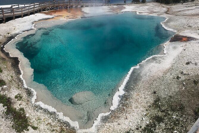 5 Person Full Day PRIVATE Yellowstone Tour- Picnic, Binoculars, Scope, Huge Van - Who Should Consider This Tour?