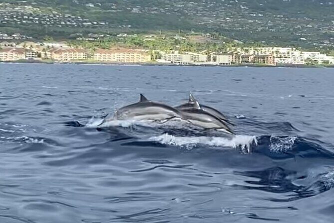 6 Hour Private Charter in Kona - Authentic Experiences and Guest Insights