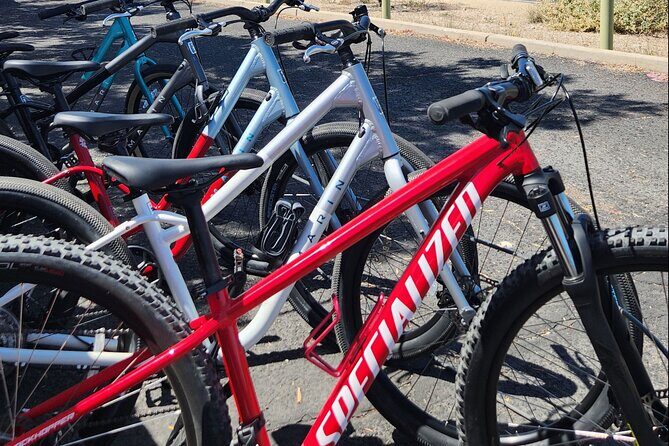 6-Hour Regular Bike Rental From Tucson - The Perfect Fit for Different Travelers