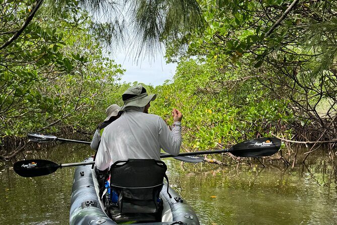 8-Hour Jungle Tour and Lagoon Passage to the Ocean in Fort Pierce - A Complete Breakdown of the Experience