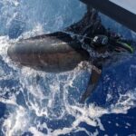 8 Hour Private Fishing Charter in Kailua-Kona, Hawaii - Final Thoughts
