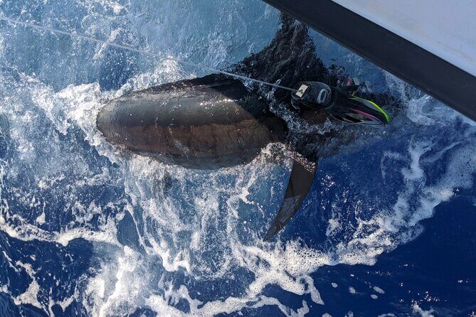 8 Hour Private Fishing Charter in Kailua-Kona, Hawaii - Final Thoughts