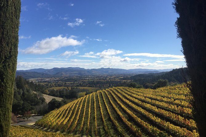 8-Hour, Private Limo Wine Tour to Napa from San Francisco - Who Will Love This Tour?