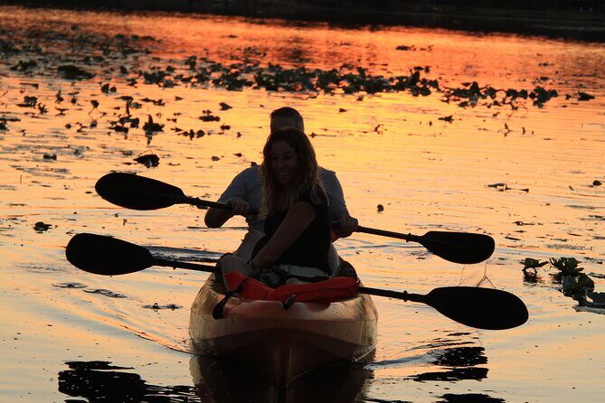 90-Minute Sunset paddle at Secret Lake Guided Kayak Tour in Casselberry - Insights from Participants and Guides