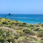 A La La Tour - Private Tour of California's Central Coast - Why This Tour Is Worth Considering