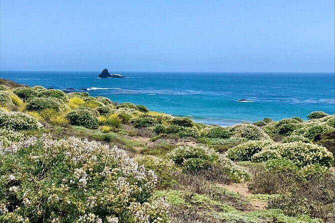 A La La Tour - Private Tour of California's Central Coast - Why This Tour Is Worth Considering