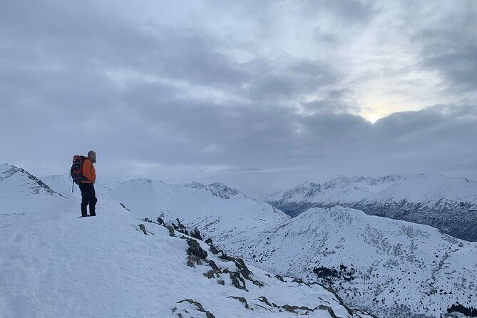 Advanced Snowshoeing Adventure - An Authentic Arctic Trek: What to Expect