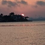 Adventure and Wildlife Watch Kayak Rentals in Sarasota - The Authentic Sarasota Experience